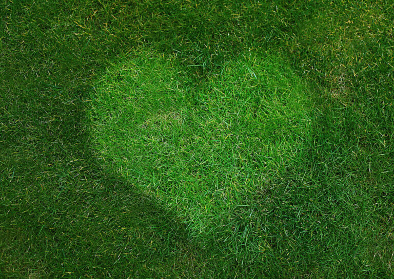 En gressplen der det er et felt på midten som er litt lysere gress i form av et hjerte.
